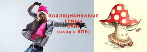 mix Протвино